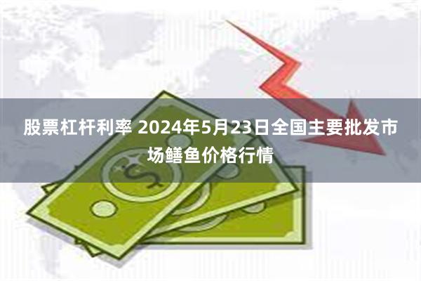 股票杠杆利率 2024年5月23日全国主要批发市场鳝鱼价格行情