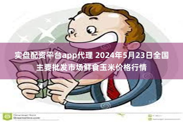 实盘配资平台app代理 2024年5月23日全国主要批发市场鲜食玉米价格行情