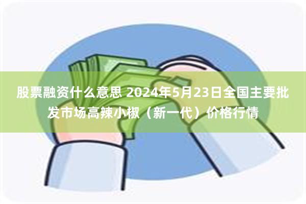 股票融资什么意思 2024年5月23日全国主要批发市场高辣小椒（新一代）价格行情