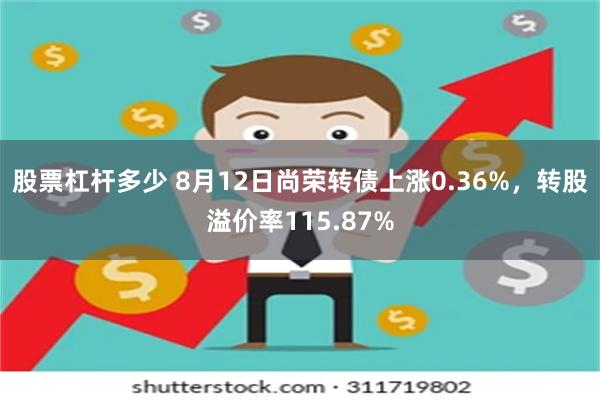 股票杠杆多少 8月12日尚荣转债上涨0.36%，转股溢价率115.87%