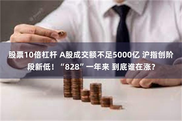 股票10倍杠杆 A股成交额不足5000亿 沪指创阶段新低！“828”一年来 到底谁在涨？