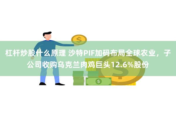 杠杆炒股什么原理 沙特PIF加码布局全球农业，子公司收购乌克兰肉鸡巨头12.6%股份