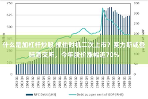 什么是加杠杆炒股 抓住时机二次上市？赛力斯或登陆港交所，今年股价涨幅近70%